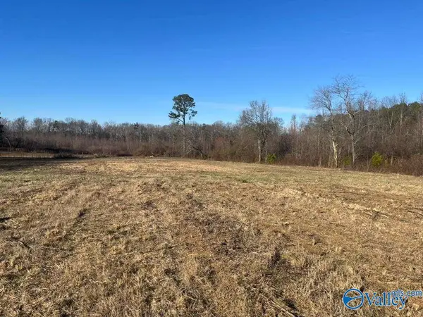 6.5 Acres County Road 1597, Baileyton, AL 35019