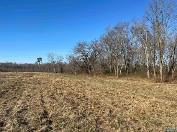6.5 Acres County Road 1597, Baileyton, AL 35019