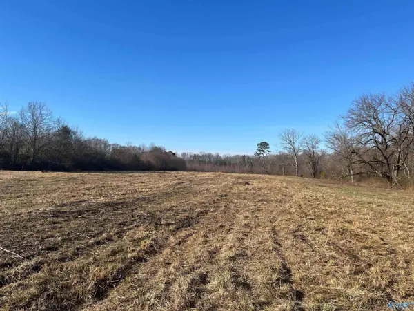 6.5 Acres County Road 1597, Baileyton, AL 35019