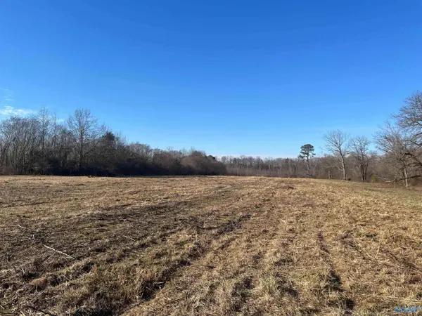 6.5 Acres County Road 1597, Baileyton, AL 35019