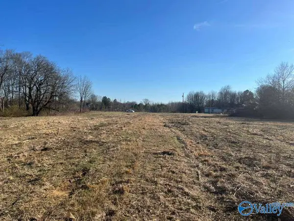 6.5 Acres County Road 1597, Baileyton, AL 35019