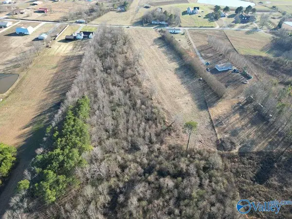 6.5 Acres County Road 1597, Baileyton, AL 35019