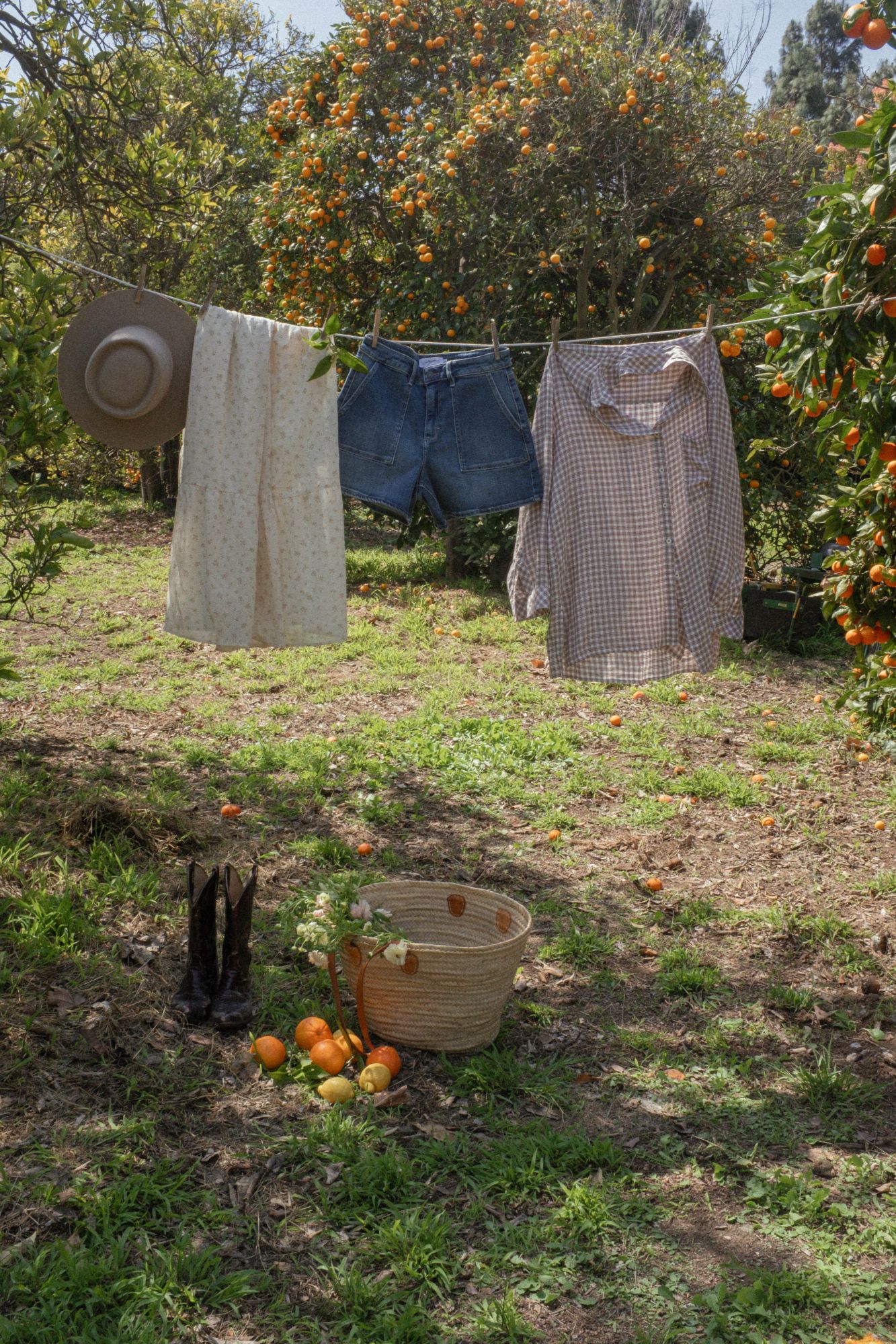 Backyard with clothesline and fruit trees showing outdoor lifestyle in Gloucester County NJ