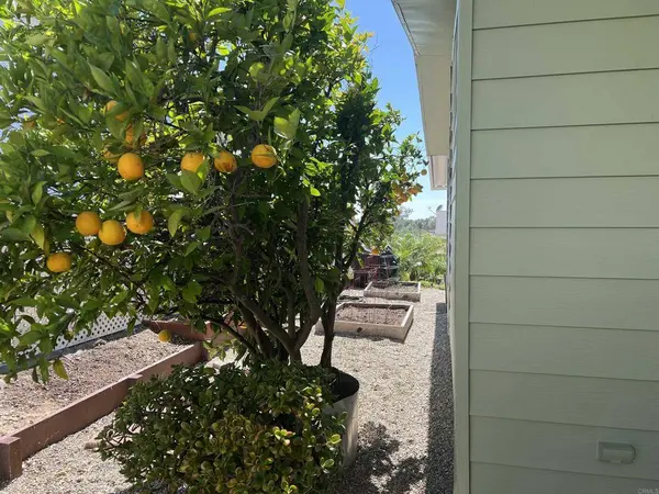 1930 W San Marcos BLVD #105, San Marcos, CA 92078