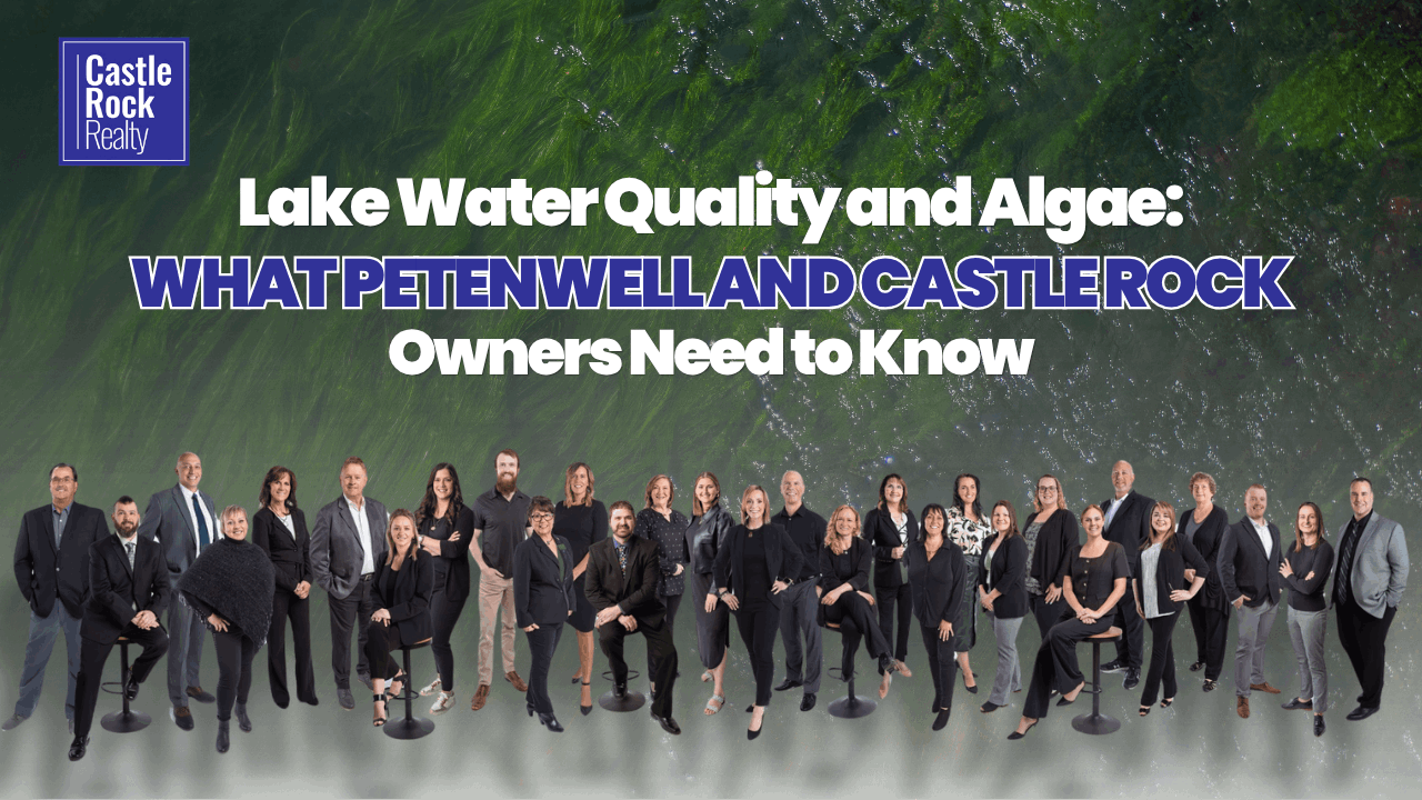 Petenwell Lake Wisconsin water quality monitoring — algae harmful algal bloom guide for lakefront property owners