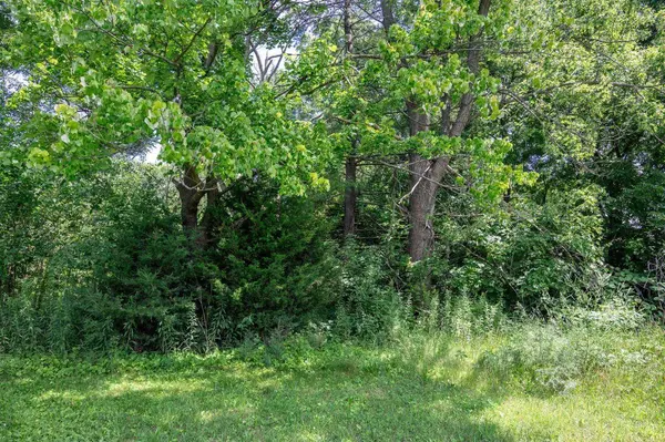 1.6 acres Prospect and Lincoln Street, Mauston, WI 53948