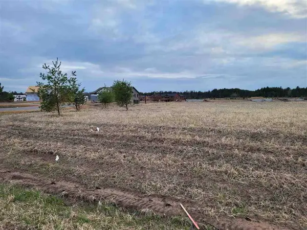 W5800 Brook Trout Court, New Lisbon, WI 53950