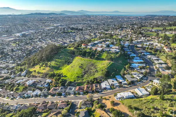 Should I Price Low to Create a Bidding War?