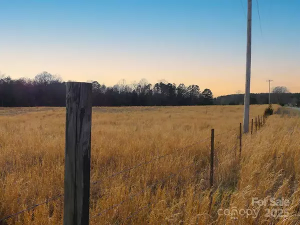 feature image of The Basics of Buying Land in North Carolina