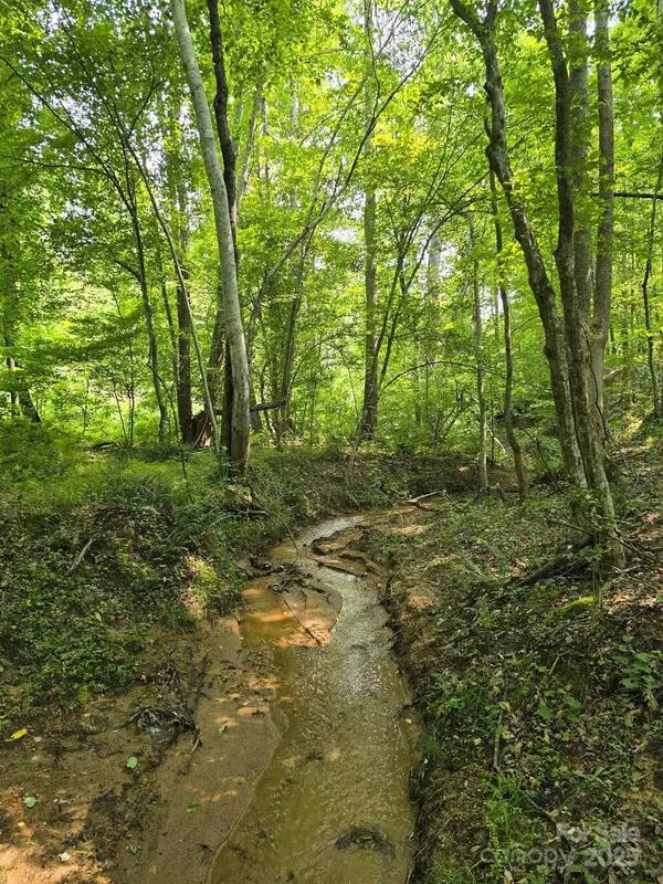 Lot 26 Grandview DR #26, Rutherfordton, NC 28139