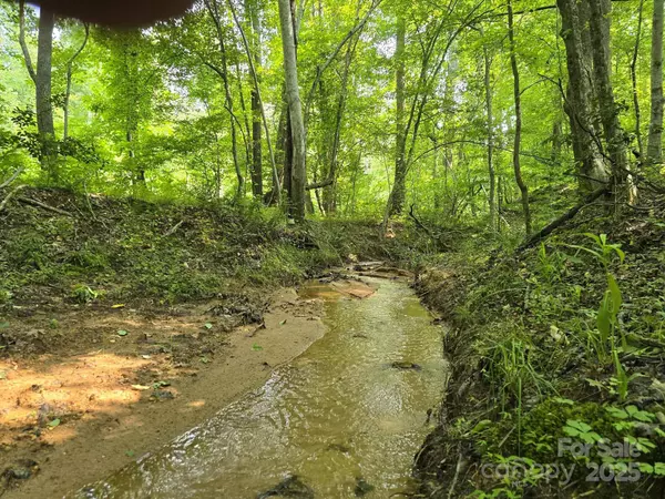 Lot 26 Grandview DR #26, Rutherfordton, NC 28139