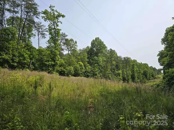 Lot 26 Grandview DR #26, Rutherfordton, NC 28139