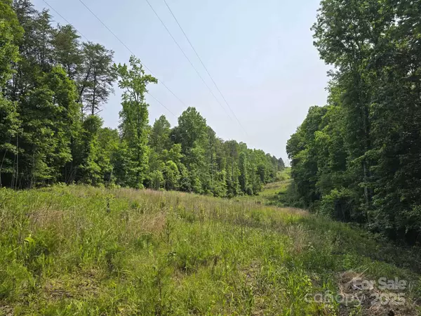 Lot 26 Grandview DR #26, Rutherfordton, NC 28139