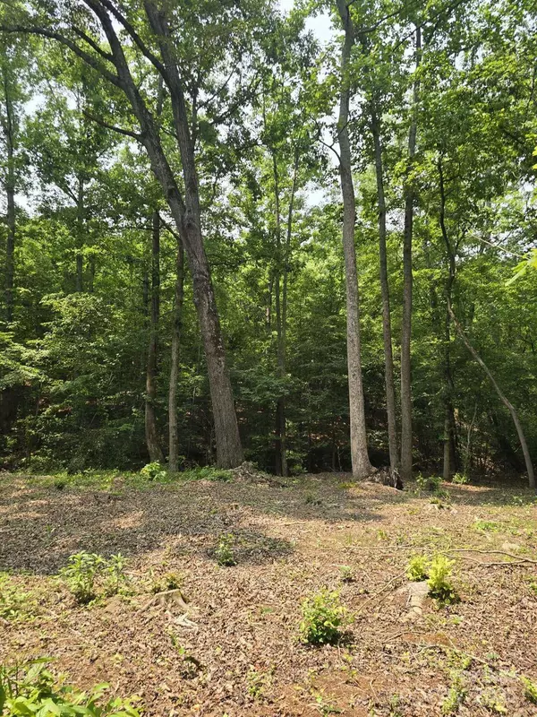 Lot 9 State Line RD #9, Mooresboro, NC 28114