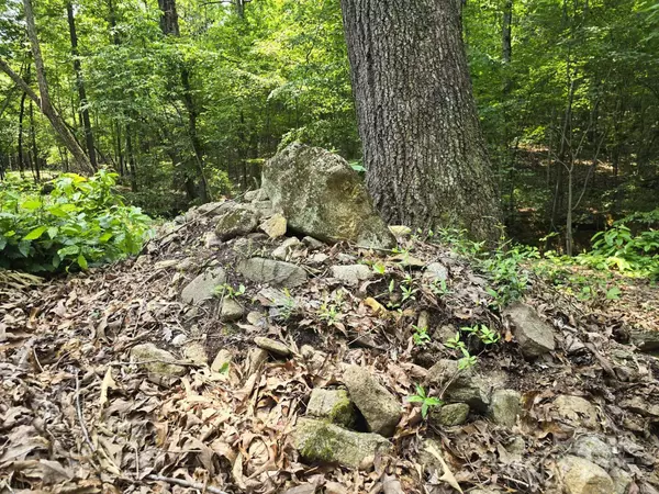 Lot 9 State Line RD #9, Mooresboro, NC 28114