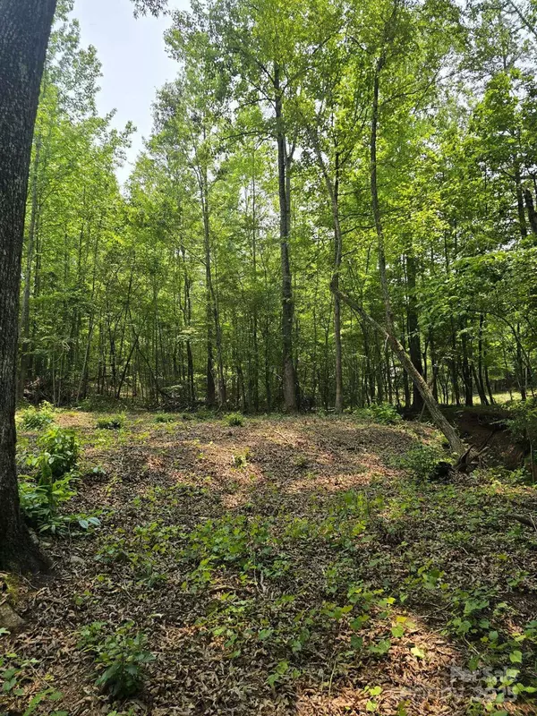 Lot 9 State Line RD #9, Mooresboro, NC 28114