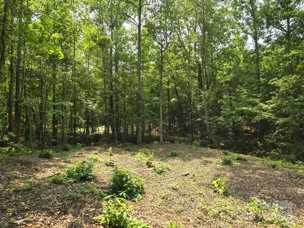 Lot 9 State Line RD #9, Mooresboro, NC 28114