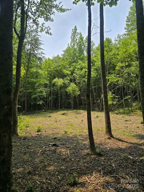 Lot 10 State Line RD #10, Mooresboro, NC 28114