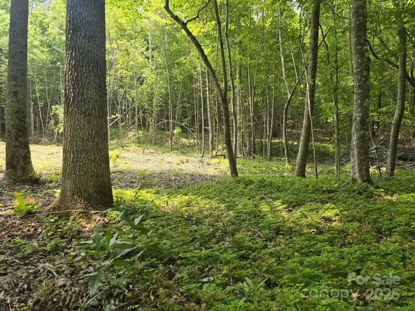 Lot 10 State Line RD #10, Mooresboro, NC 28114