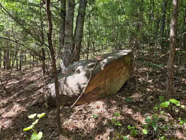 Lot 159 Westridge DR, Bostic, NC 28018