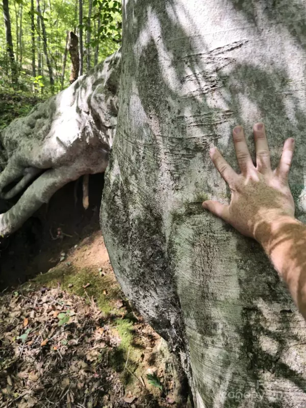 2921 Painters Gap RD, Union Mills, NC 28167