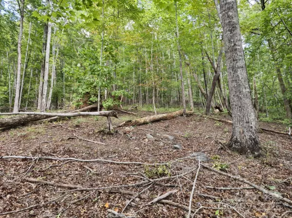 2921 Painters Gap RD, Union Mills, NC 28167