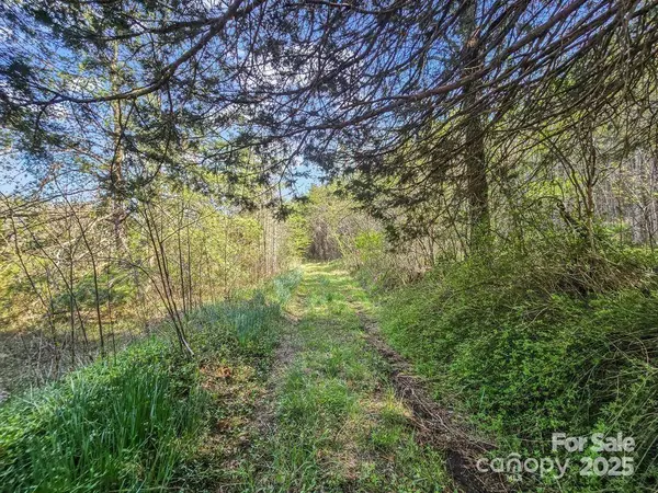 2921 Painters Gap RD, Union Mills, NC 28167