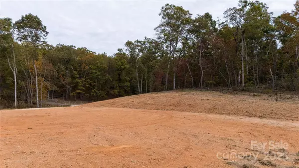 0 Franciscan LN, Rutherfordton, NC 28139