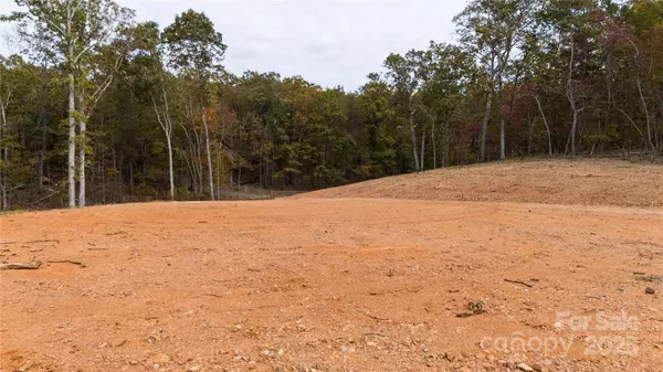 0 Franciscan LN, Rutherfordton, NC 28139