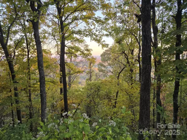 TBD Wards Gap RD, Casar, NC 28020