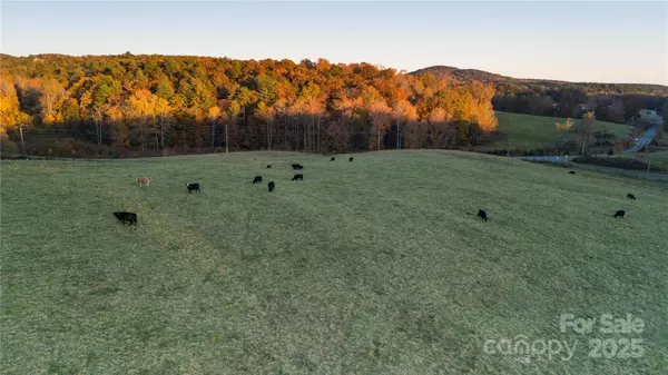 TBD Wards Gap RD, Casar, NC 28020