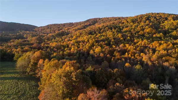 TBD Wards Gap RD, Casar, NC 28020