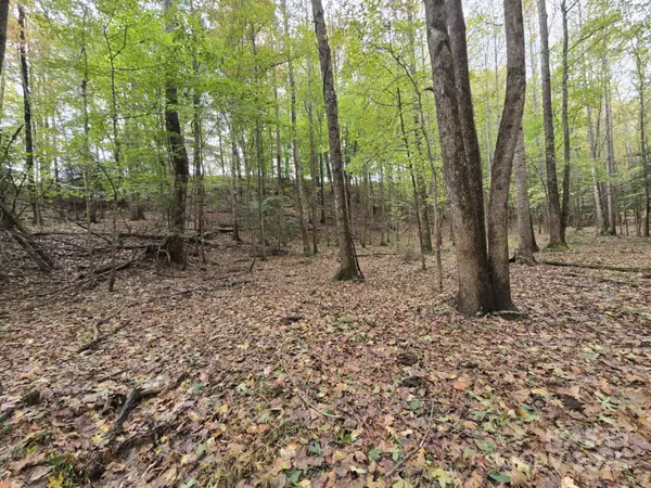 TBD Wards Gap RD, Casar, NC 28020