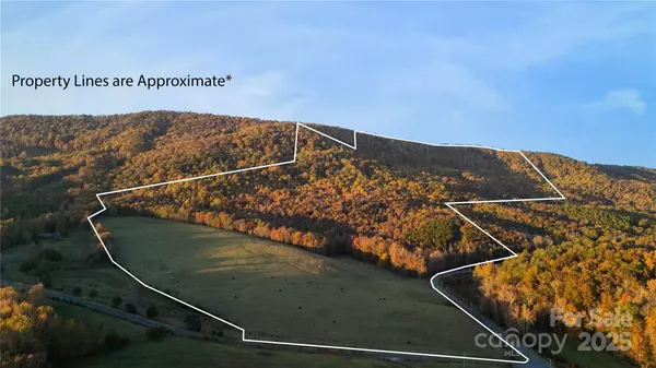 TBD Wards Gap RD, Casar, NC 28020