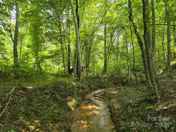 Lot 26 Grandview DR #26, Rutherfordton, NC 28139