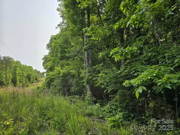 Lot 26 Grandview DR #26, Rutherfordton, NC 28139
