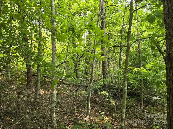 Lot 26 Grandview DR #26, Rutherfordton, NC 28139
