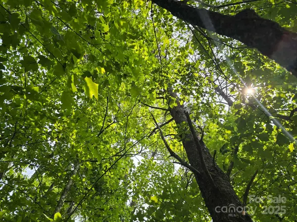 Lot 26 Grandview DR #26, Rutherfordton, NC 28139