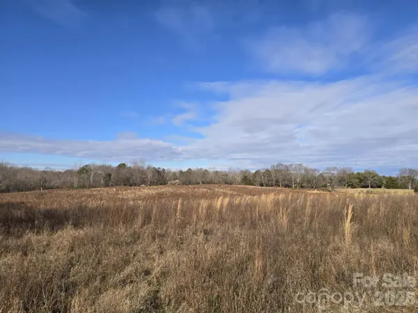 TBD Sandy Springs RD, Rutherfordton, NC 28139