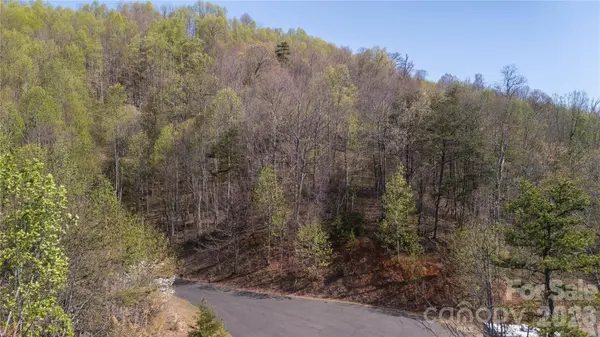 TBD Owls Ridge RD, Bostic, NC 28018