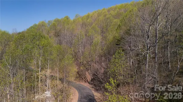 TBD Owls Ridge RD, Bostic, NC 28018