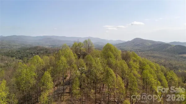 TBD Owls Ridge RD, Bostic, NC 28018