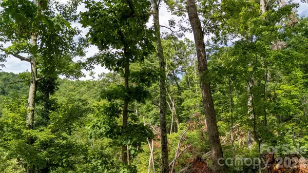 Lot 146 Shire LN #146, Union Mills, NC 28139