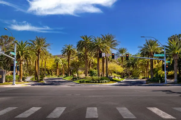 Green Valley Schools: A Buyer's Quick Guide to Henderson's Top District Pocket,Javier Mendez