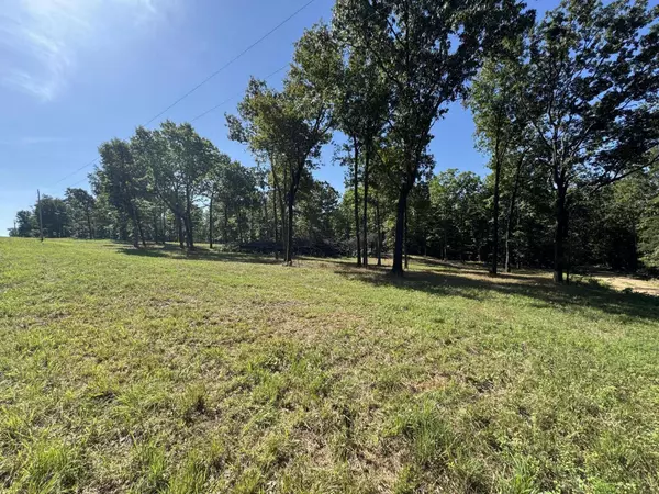 000 County Road 7550, Pottersville, MO 65790
