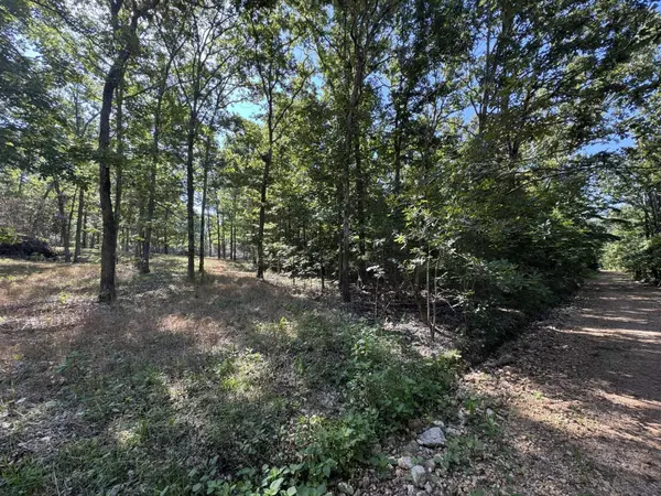 000 County Road 7550, Pottersville, MO 65790