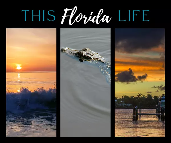 The River City: How the St. Johns Shapes Us