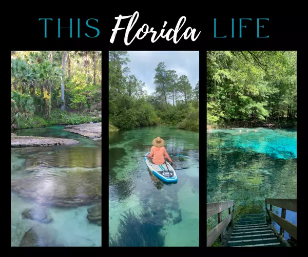 Nature in Your Backyard: Parks, Springs & More