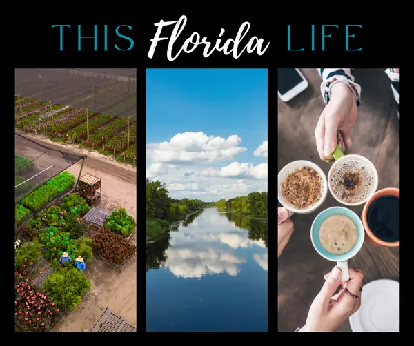 Small Towns, Big Flavor: Florida Eats Off the Beaten Path,Kristie Hamilton