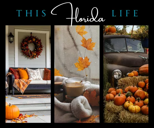 Pumpkin Patches, Corn Mazes & Spooky Trails in Jacksonville